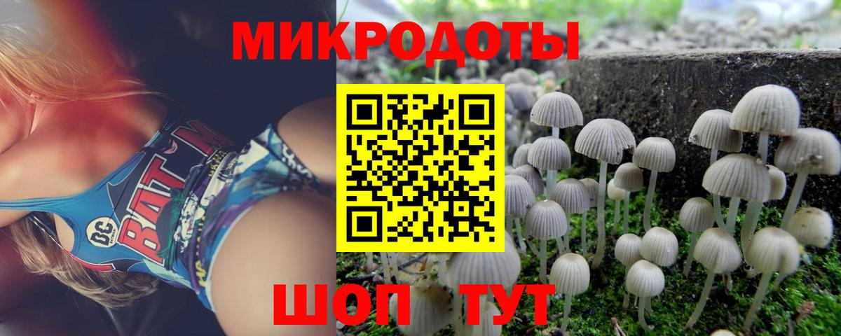 Кыштым  Галлюциногенные грибы прущие грибы  купить наркотики цена  Вход с VPN 